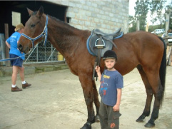 Rider and horse