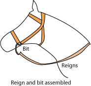 Reign and bit
